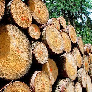 wood crown moulding 5